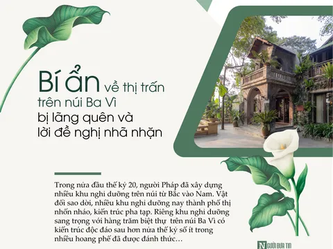 Bí ẩn về thị trấn trên núi Ba Vì bị lãng quên và lời đề nghị nhã nhặn - Bài 3: Ký ức về những biệt thự trong rừng